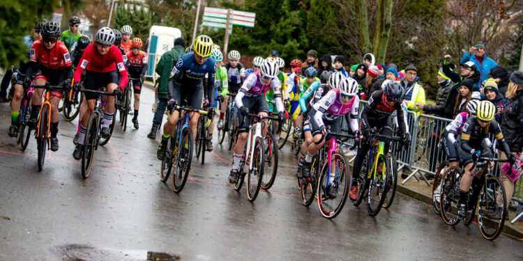 fot. Krzysztof Filmanowicz