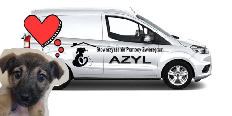 Gorzowski Azyl zbiera na Azylobusik