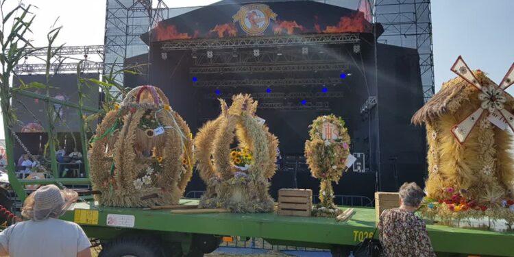 Bez Święta Pieczonego Kurczaka i niektórych połączeń w Deszcznie