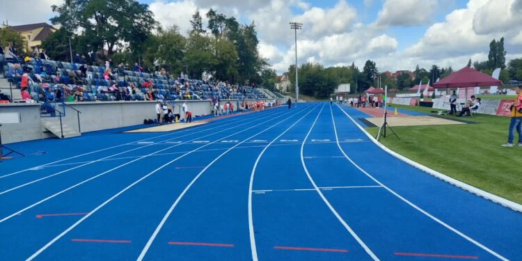 Przygotowania sportowe i organizacyjne w ALKS AJP