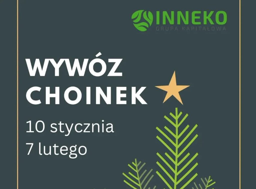 Co zrobić z choinką w styczniu?