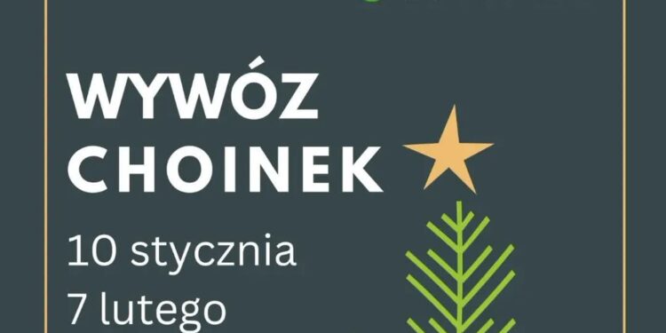 Co zrobić z choinką w styczniu?