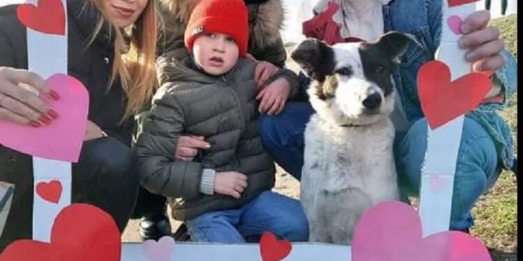 Gorzowskie schronisko zaprasza na „Azylowe Love”