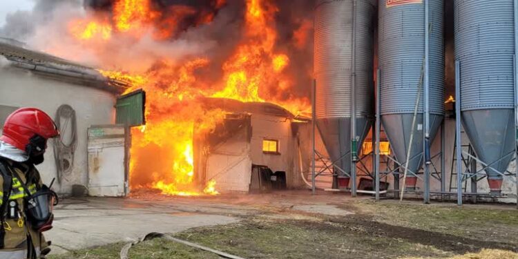 Fot. KM PSP w Gorzowie