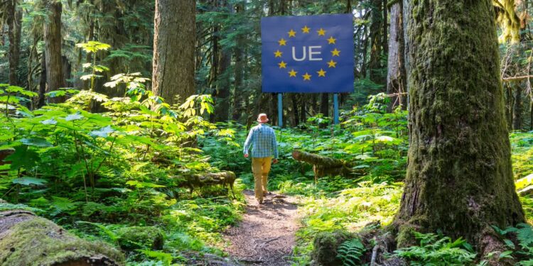 Zdjęcie ilustracyjne. Fot. Envato