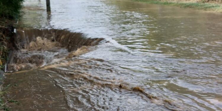 Czy przy Warszawskiej powinien powstać zbiornik retencyjny?