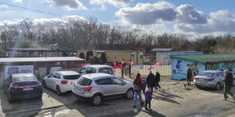 Azylove love z sukcesem