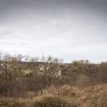 Fot. Łukasz Kulczyński - UM Gorzów Wlkp