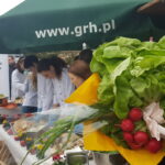 Powitanie wiosny na ryneczku przy Jerzego w Gorzowie