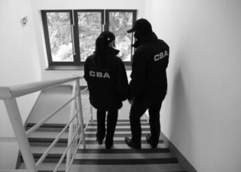 CBA: Zatrzymania za wyłudzenie dotacji