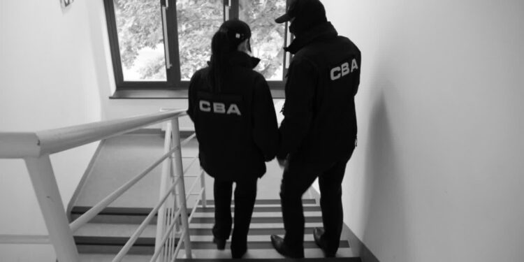 CBA: Zatrzymania za wyłudzenie dotacji