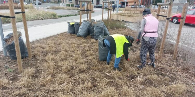 Przygotowania do wiosennych nasadzeń