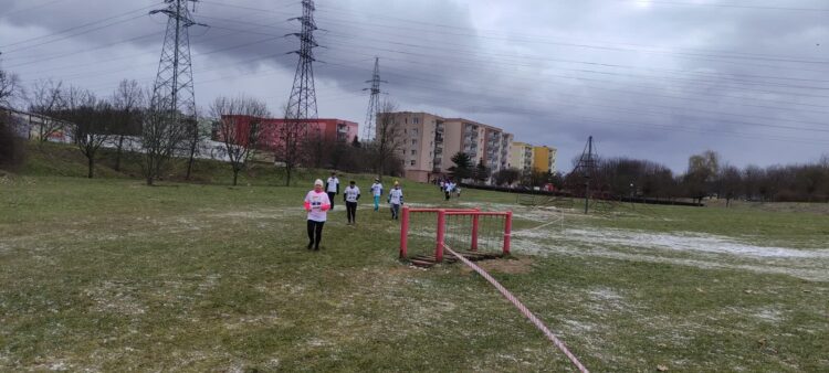 VIII Bieg Tropem Wilczym