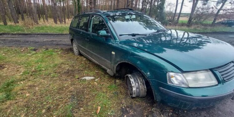 Policyjna obława pod Słubicami