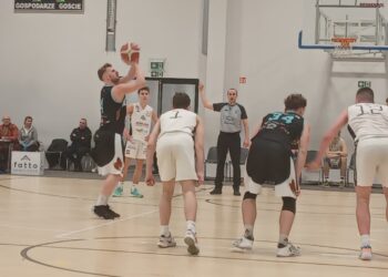 Kangoo bez szans w Zielonej Górze