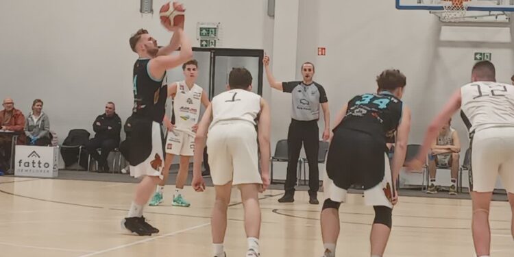 Kangoo bez szans w Zielonej Górze