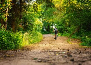 Będą nowe leśne ścieżki rowerowe w Sulechowie