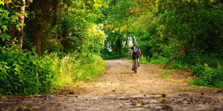 Będą nowe leśne ścieżki rowerowe w Sulechowie