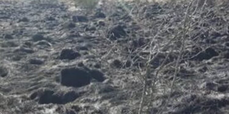 Coraz więcej pożarów łąk i nieużytków