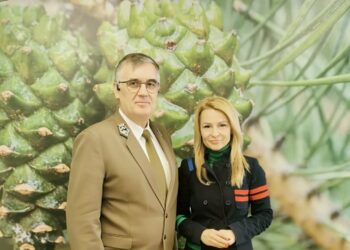 Rekordowa zbiórka podpisów w obronie lasów