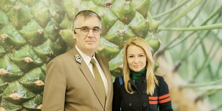 Rekordowa zbiórka podpisów w obronie lasów