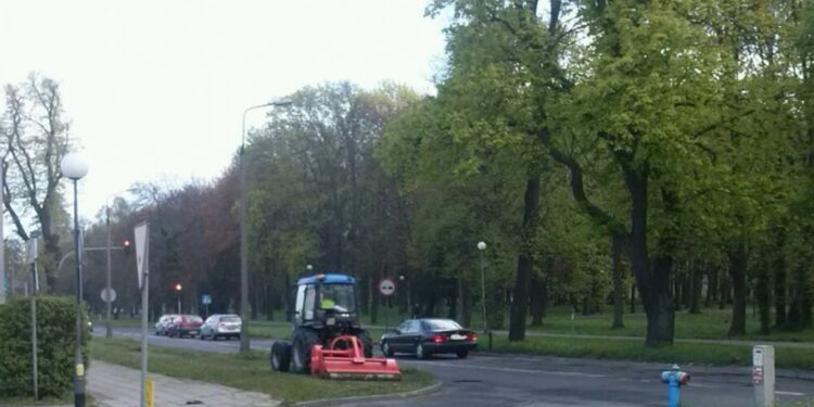 Rozpoczęło się koszenie traw