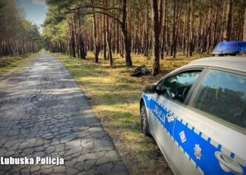 W nocy, w środku lasu zepsuł mu się rower. Za pomoc dziękuje policjantom z Międzyrzecza