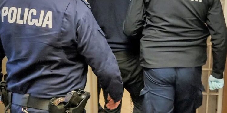 Narkotyki, agresja wobec policjantów i kradzione auto na posesji. Oto efekt kontroli w Sulechowie