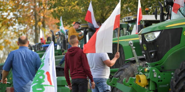 Utrudnienia w ruchu na S3. W poniedziałek rolnicy zablokują drogi w Sulechowie