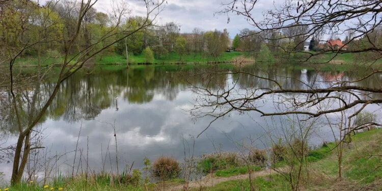Jezioro błotne – miejsce niezwyczajne. Teraz chcą o tym opowiedzieć