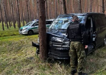 Uciekał skradzionym w Niemczech volkswagenem. Pościg zakończył się na drzewie
