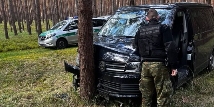 Uciekał skradzionym w Niemczech volkswagenem. Pościg zakończył się na drzewie