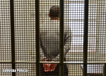 Gruzin zaatakował śrubokrętem policjanta. Napastnik został zatrzymany i tymczasowo aresztowany