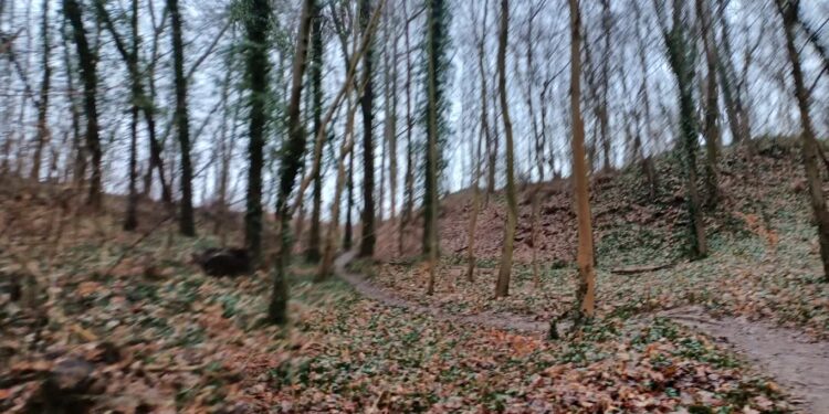 Niedługo powstanie dirt park