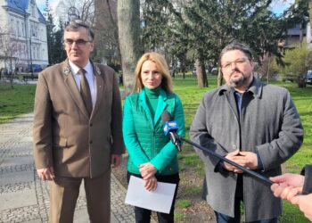 Bruksela ma zakusy na polskie lasy. Solidarna Polska mówi STOP!