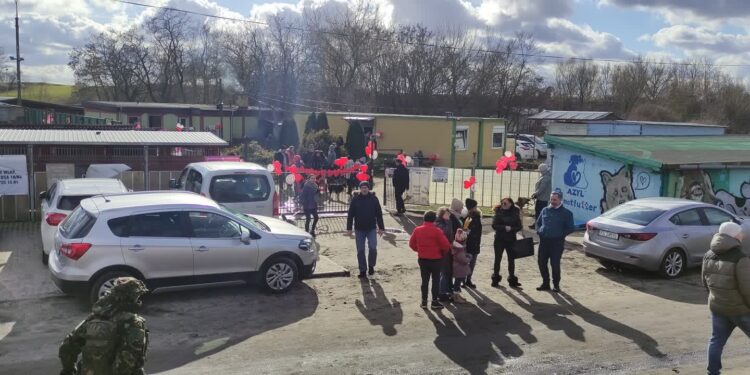 Będzie remont części socjalnej schroniska