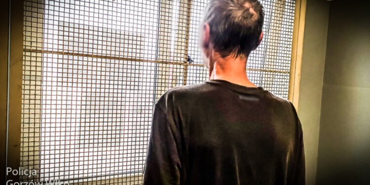 fot: Policja Gorzów Wlkp
