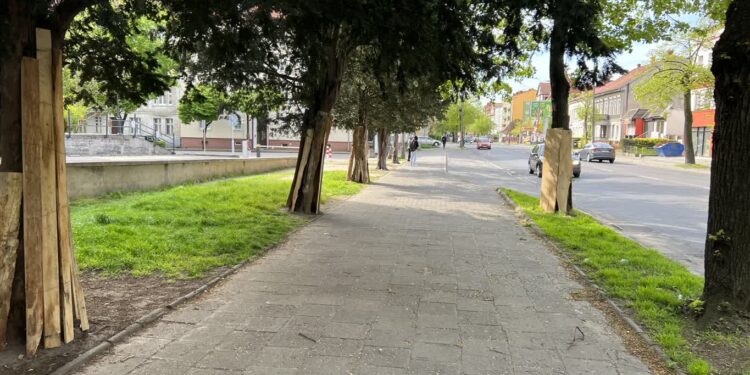Ropoczyna się remont chodnika na Kosynierów Gdyńskich w Gorzowie