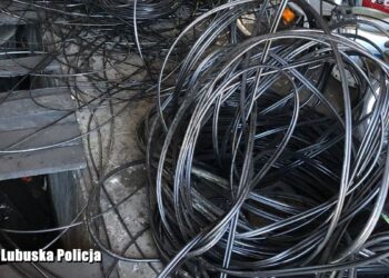 Kradli kable telekomunikacyjne pod Zieloną Górą. Mogą trafić do więzienia na 5 lat