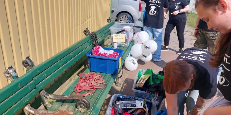 4 urodziny gorzowskiego schroniska Azorki rozpoczęte