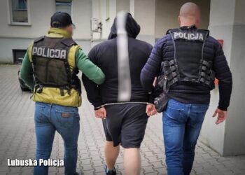 Zatrzymano podejrzanego o napad na bank w Nowogrodzie Bobrzańskim