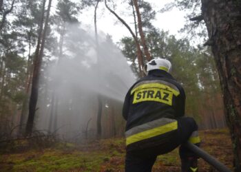 Tragiczny finał pożaru w Barcikowicach