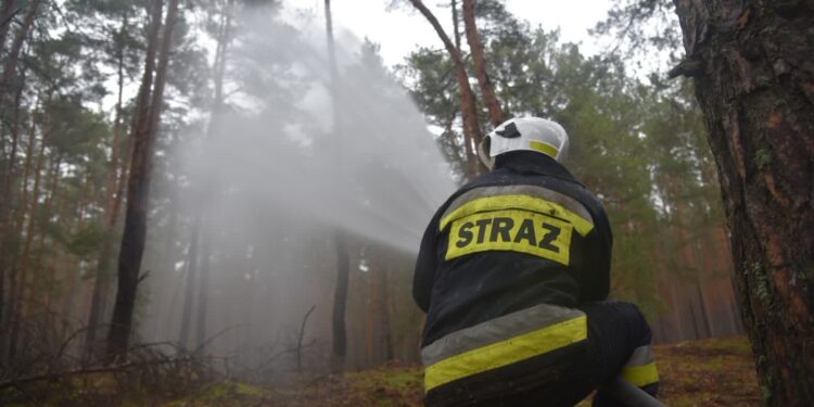 Tragiczny finał pożaru w Barcikowicach