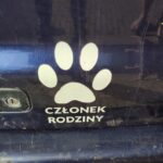 Gorzowski OTOZ zbiera na sprawny samochód