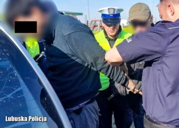 Nielegalni imigranci złapani w Lubuskiem. 8 Afgańczyków siedziało ściśniętych na tyle auta