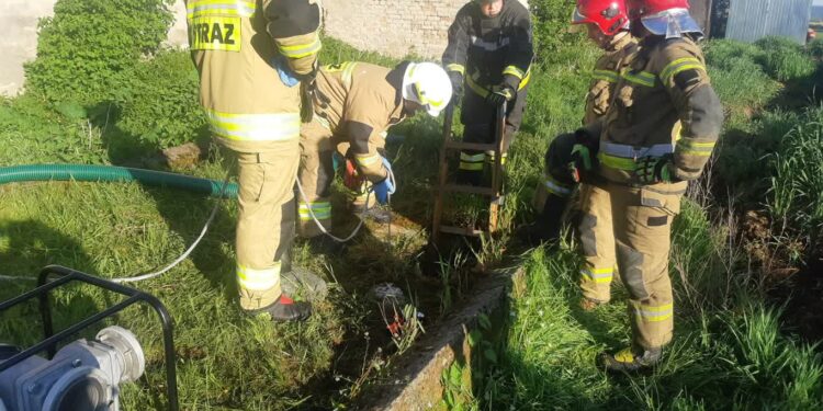 Źrebak wpadł do szamba. Zwierzę uratowali strażacy