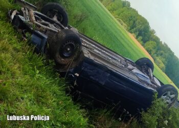 Kumulacja drogowej głupoty! Dachował po pijanemu i miał wyrok do odsiadki. Ukrył się w pokrzywach, by uniknąć kary