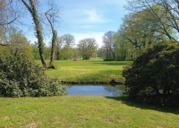 Majowy Park Mużakowski