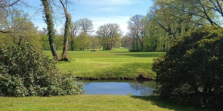 Majowy Park Mużakowski