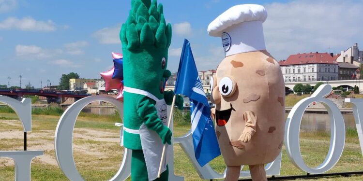 Dzis i jutro jemy szparagi